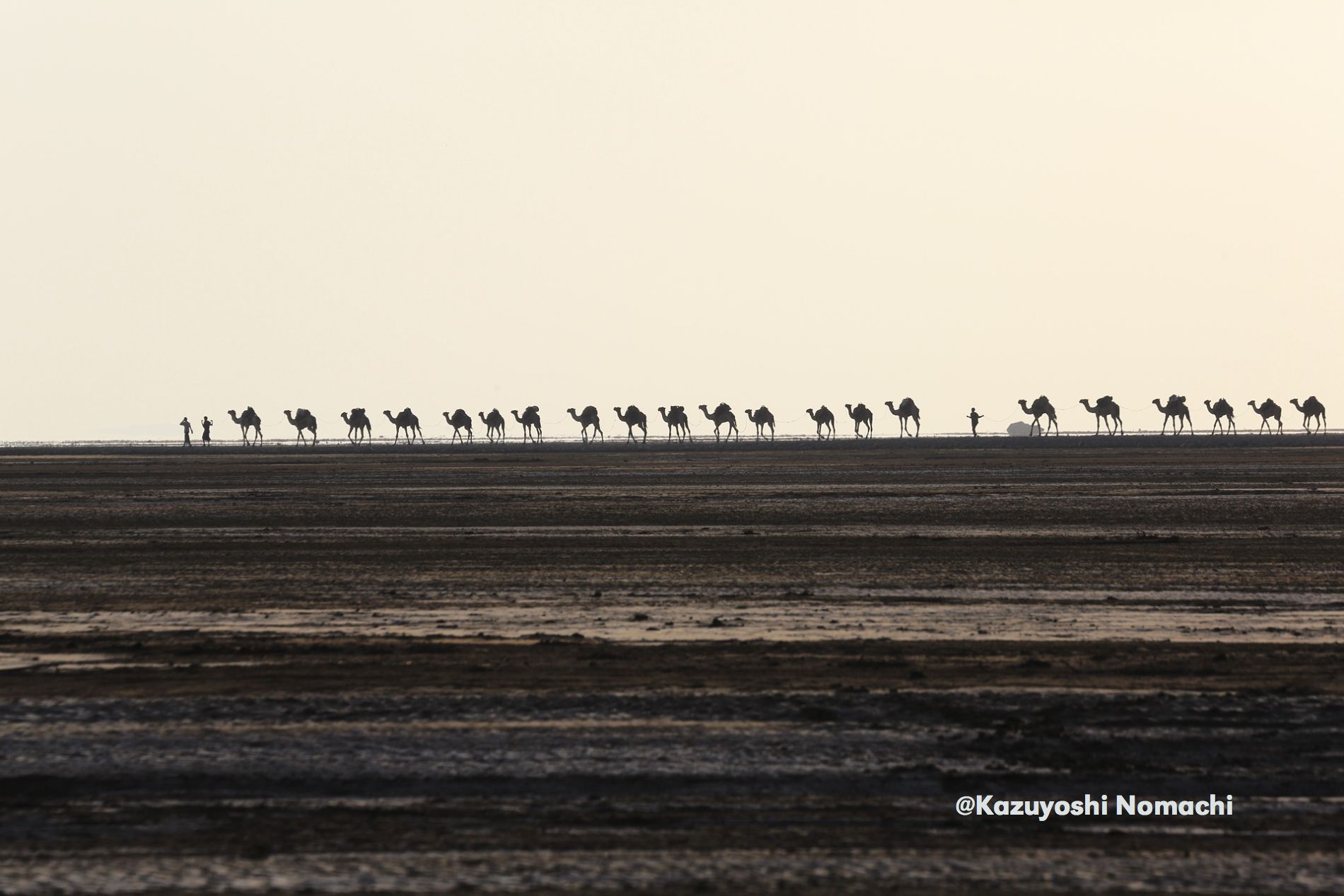 Danakil Desert