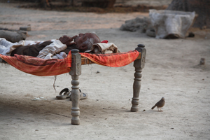 Allahabad India