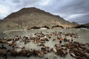 Kabud Gonbad Iran
