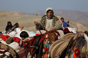 Zagros Iran