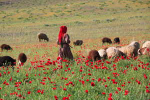 Hamadan Iran
