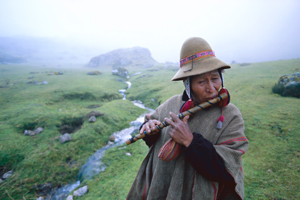 Andes Life