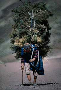 Imilchil Morocco