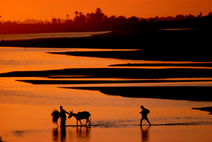 The Nile