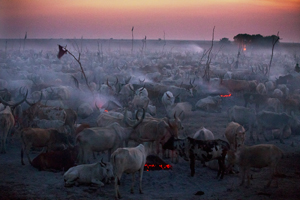 Jonglei South Sudan
