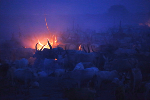 Jonglei South Sudan