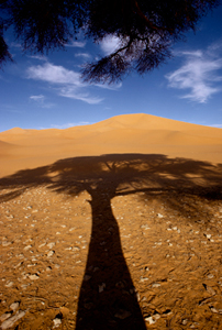 Grand Erg Occidental Algeria