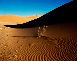 Grand Erg Occidental Algeria
