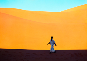 Sahara Oasis
