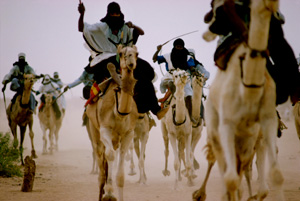 Tuareg