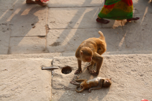Varanasi India