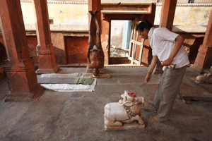 Varanasi India
